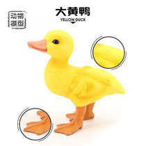 Simulation small animal yellow duck model toy Wild Ranch poultry model solid static doll childrens cognitive Department