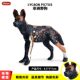Simulated Wild Animal Model Solid African Wild Dog Earthwolf Hunting Dog Model Kidsren's Plastic Toy Cognitive Ornaments
