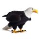 Children's Toys Solid Artificial Wildlife World Bird Model Ornaments Eagle Large White Head Sea Sculpture Figure