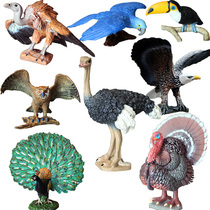 Wild animal model childrens toy simulation animal set big-billed macaw ostrich Peacock chicken duck goose