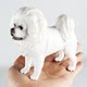 Simulated Wild Animal Toy Model Dog Tibetan Bully Bulldog Bulldog Strange Bulldog Doberman Golden Retriever
