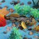 Simulated Jumping Fish, Fish Tank Ornaments, Tropical Ornamental Fish, Beach Fish, Freshwater Fish, Pet Fish Model Toys