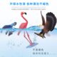 Children's toys solid simulation animal model set bird eagle parrot peacock flamingo science and education awareness