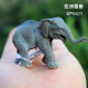 Children's Toys, Simulated Small Animal Ornaments, Wild Animal Models, Baby Giraffes, Zebras, Elephants, Dogs, Chickens, Ducks, Geese