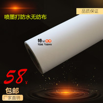 Inkjet (waterproof non-woven fabric) coiled material specs fully inkjet canvas to write true non-woven fabric pearl cloth