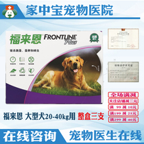 Follén large dog in vitro deworming drops with whole box of large dogs single-branch without box-driven flea ticks Flux