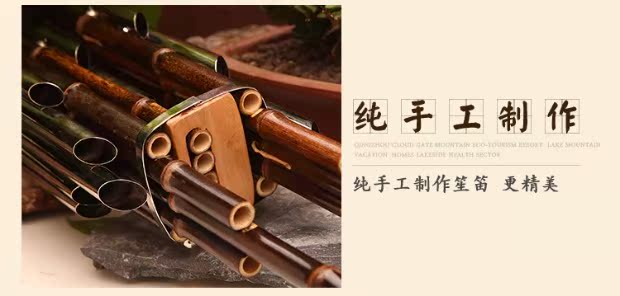 Sheng Hongyi nhạc cụ chuyên nghiệp cho người mới bắt đầu 14 mùa xuân Fang D D xuống B có thể điều chỉnh E âm thanh nhạc cụ quốc gia dành cho người lớn mua đàn nguyệt