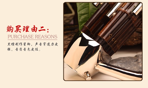 Sheng Hongyi nhạc cụ chuyên nghiệp cho người mới bắt đầu 14 mùa xuân Fang D D xuống B có thể điều chỉnh E âm thanh nhạc cụ quốc gia dành cho người lớn mua đàn nguyệt