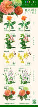 日本全新邮票-花的色彩 第1集-2023年10月18日发行