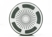 Не совсем белый F013 Трехбоэнация