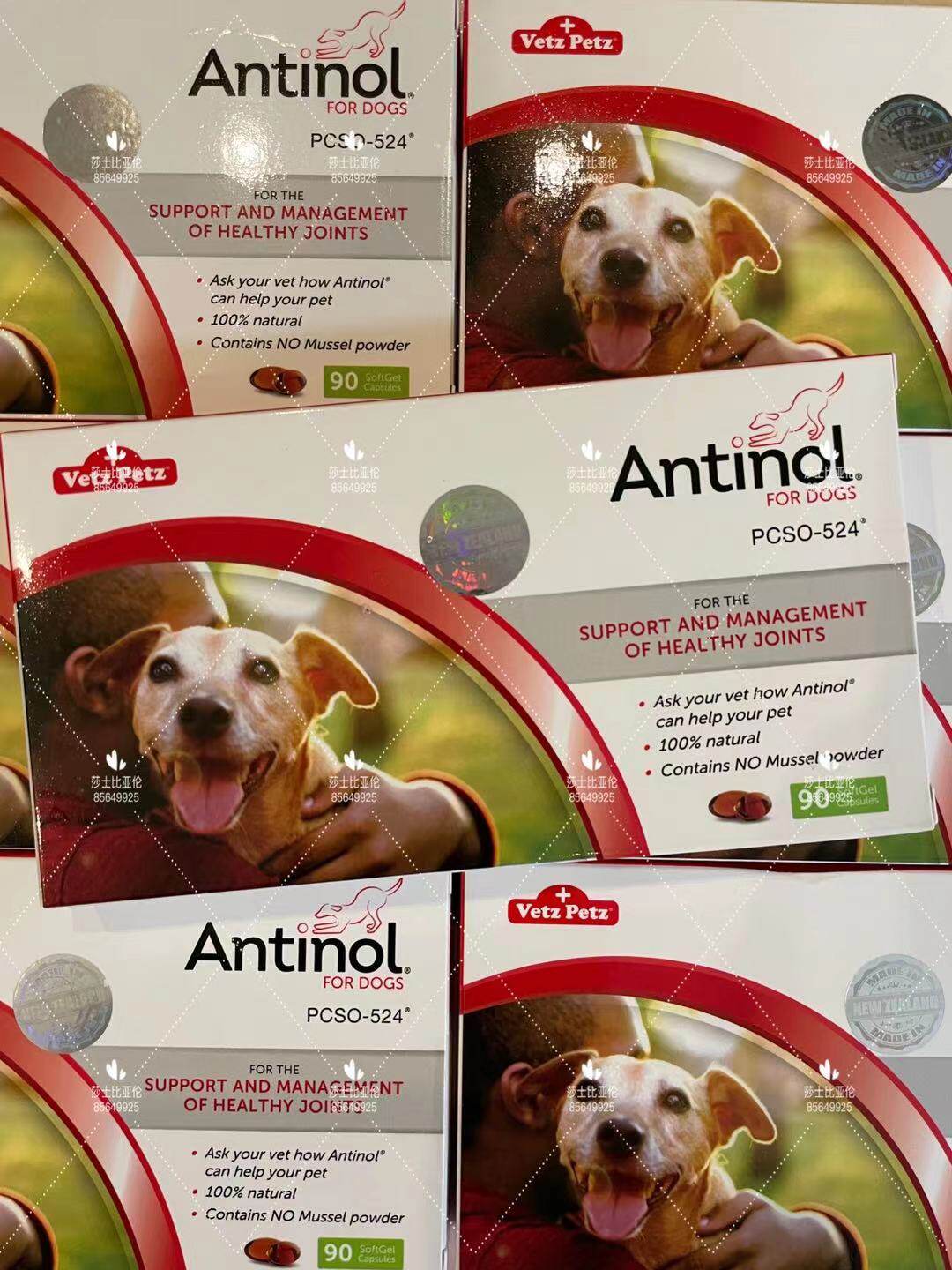Spot New Zealand version of Antinol canine and cat with joint chondroitin PCSO-524 Shunfeng cold chain