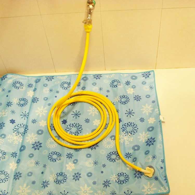nước giường nước bọt mat ghế Liangdian đơn sofa nệm xốp nước đệm đệm nước - Nệm