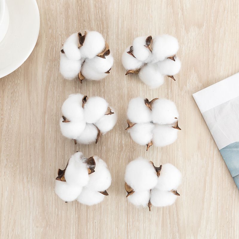 Cotton Head Dried Flower Head Home Decoration Photography Props Bouquet with Kapok Head Christmas Decoration Accessories