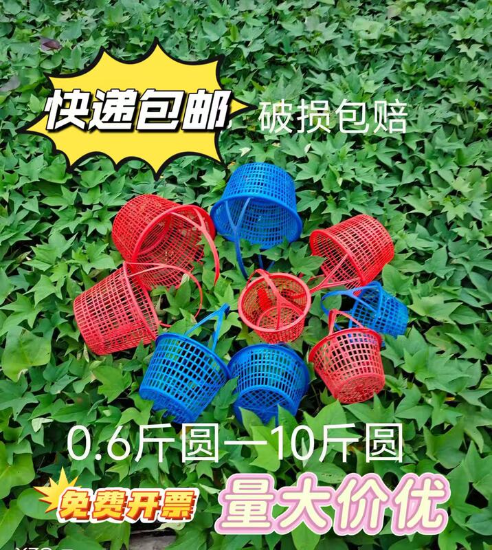 0.5-5kg Round Baskets for Strawberries, Mulberries, Cherries, Figs, Bayberries, Loquats, Grapes, and Fruit Picking 0.5-5kg Round Baskets for Strawberries, Mulberries, Cherries, Figs, Bayberries, Loquats, Grapes, and Fruit Picking