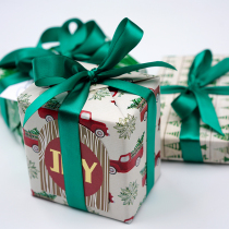 Fenruka Shop original Green series do old Christmas gifts gift wrapping paper cartoon car children gifts