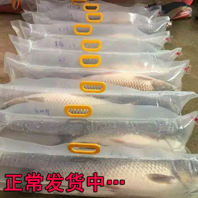 Oxygen Live Fish Gift Bag Flower-head Carp Shipping Packaging Bag Shipping Bag