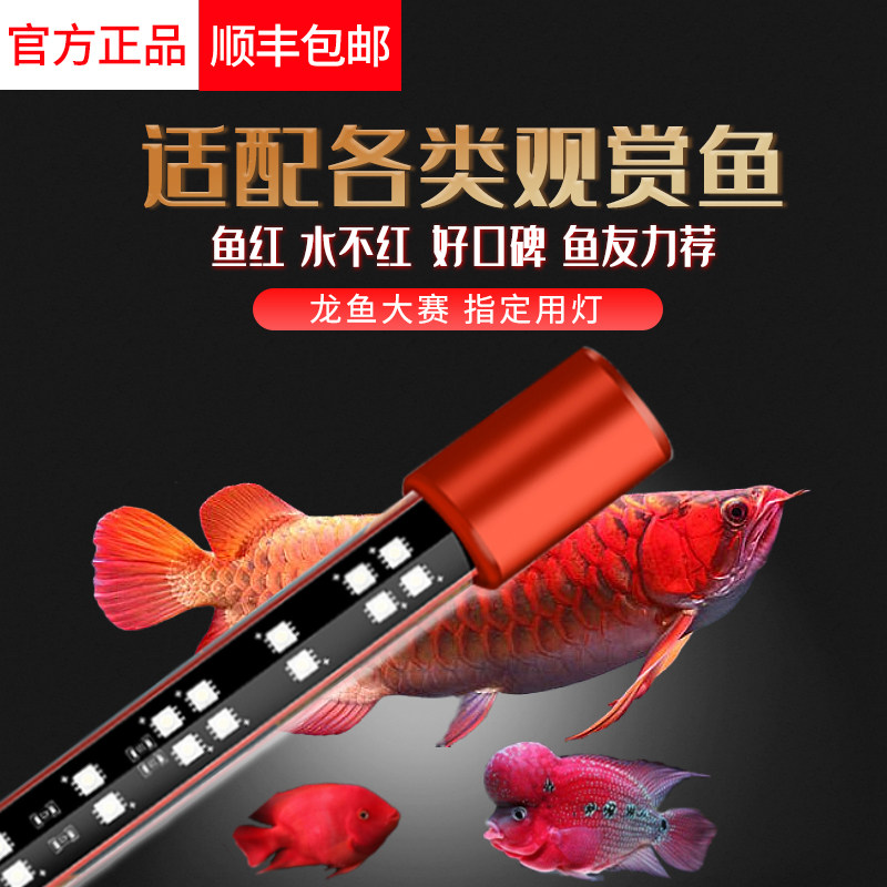 Maprint God Delights lamp PLUS ornamental fish waterproof and brightening lamp tricolour lamp with no-color red fish not red water