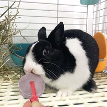 Herbivores Rodents Rabbits Guinea pigs Hamsters Licking blocks Supplement minerals Electrolytes Trace elements Salt stone