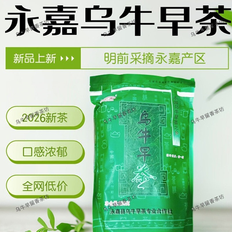 Wenzhou Yongjia Specialty Wuniuzao Tea 2026 New Crop Tea, Pre-Qingming Green Tea, Earlier Than Hangzhou Longjing Tea Wenzhou Yongjia Specialty Wuniuzao Tea 2026 New Crop Tea, Pre-Qingming Green Tea, Earlier Than Hangzhou Longjing Tea