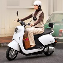 2021 Spring Festival gala The same Yadi electric car M6 crown version 60V electric motorcycle men and women battery car moped