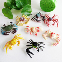 Simulation marine animal model mini crab king crab Fiddler Crab Crab plastic childrens cognitive toy