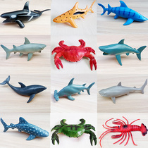 Simulation of marine life animal model killer whale great white shark fish sea turtle dolphin Penguin Blue Whale lobster childrens toy