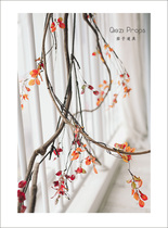 Forest mountain small yellow leaf small green leaf long vine vine decoration simulation plant eggplant newborn photography props