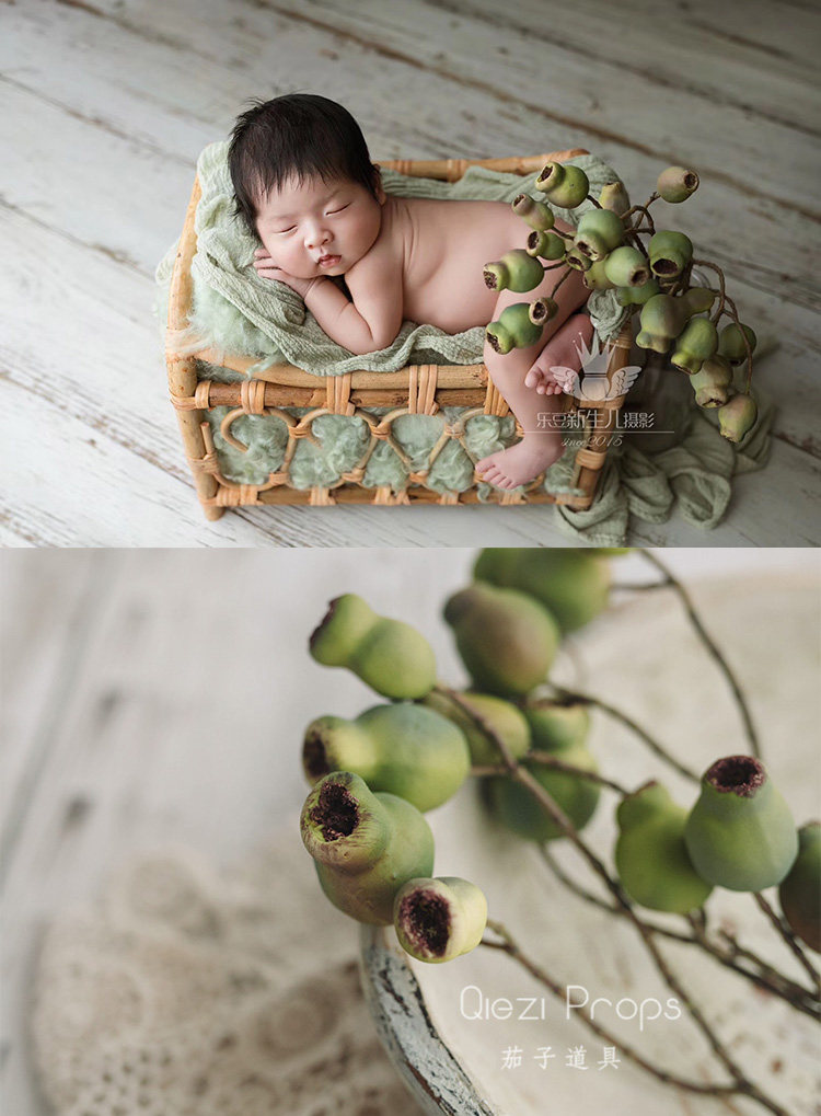 Stay Cute Beak Mouth Fruits ~ High Emulation Green Plant Home Swing Accessories Fake Flowers Photo Scene Eggplant Newborn Photographic Props