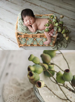 Doodle-mouthed fruit~High simulation green plant home decoration fake flower photo scene eggplant newborn photography props