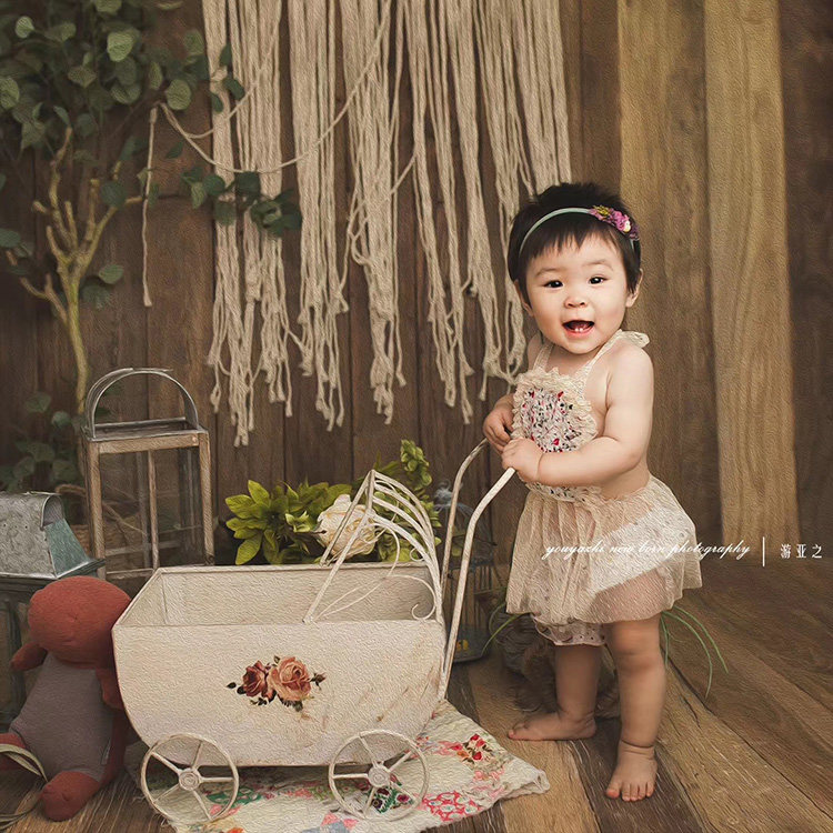 Vintage Vintage Home Decoration Horticultural Baby Cart Newborn Photography Propellet