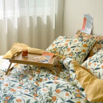 Special price 40s Four Seasons cotton flower cartoon cotton four piece set AB version literary cute double single bed kit