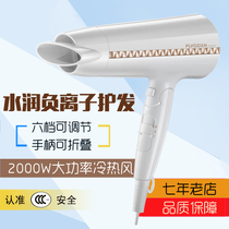 Flying Coke FH6228 Electric Hair Dryer Negative Ion Home 2000W High Power Cold Hot Air Hair Salon Five Stalls Portable