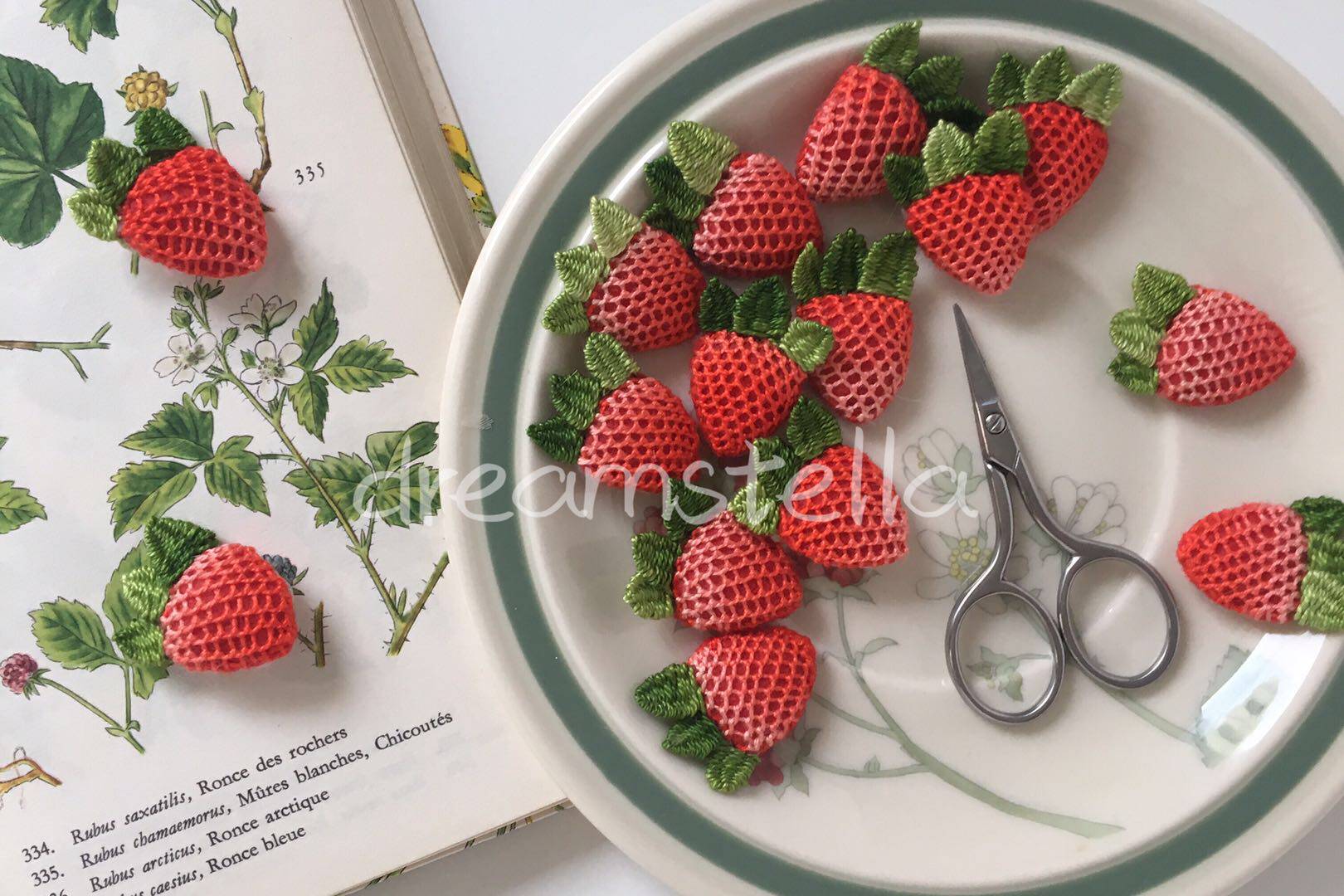 Leye Handmade Stella Original Embroidery Strawberry Brooch Material Pack (Tutorial Not Included)