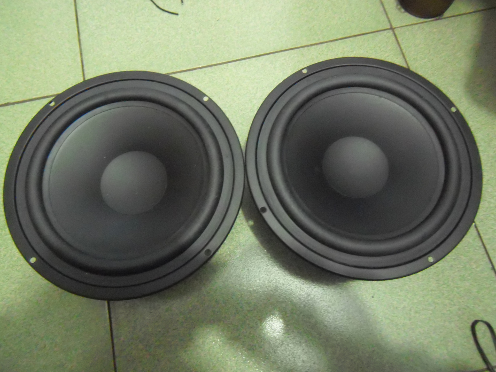 DEBAO Tempo 8 inch bass horn pair in a pair of