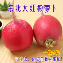 Northeast red radish red White Heart Big Red Robe round radish fresh farm female sweet crisp raw eat 5kg