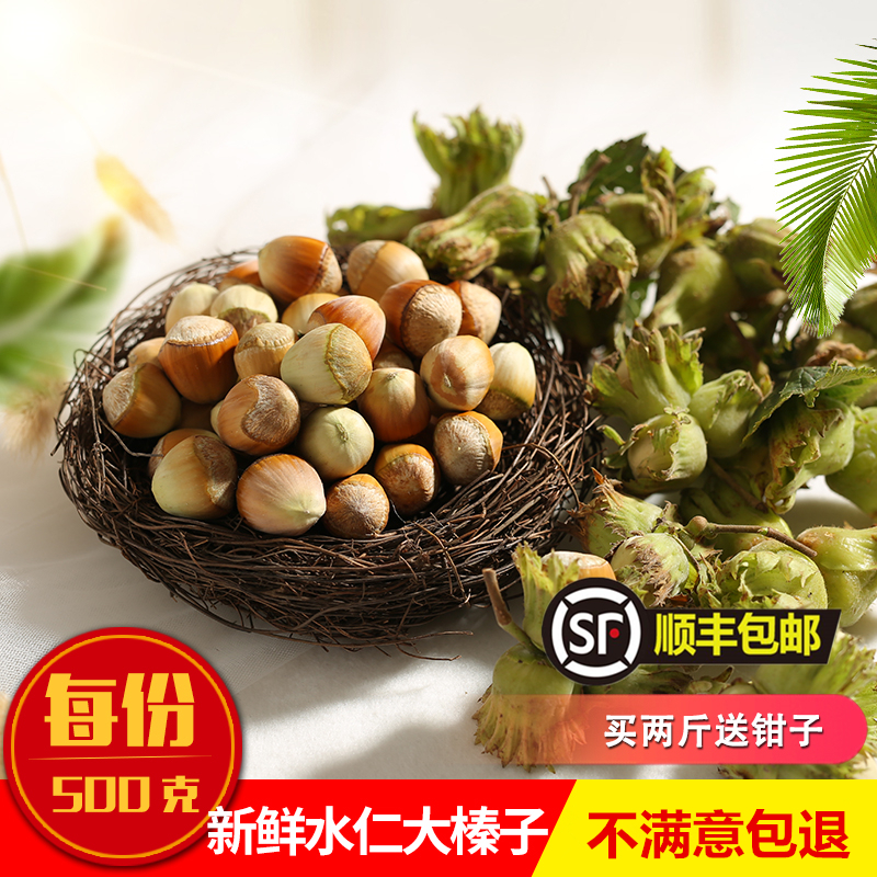2022 fresh big hazelnut new northeast wild with skin green skin water kernel water huanren fresh raw hazelnut 500g
