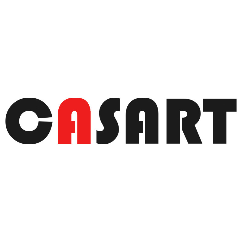 CASART壳画说