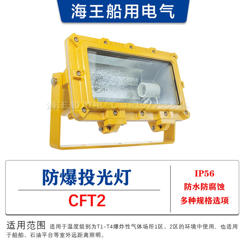 Marine Explosion-Proof Floodlight Cft2 Ip56 Aluminum High-Pressure Sodium Lamp/Metal Halide Lamp 400W Full Wattage Marine Explosion-Proof Floodlight Cft2 Ip56 Aluminum High-Pressure Sodium Lamp/Metal Halide Lamp 400W Full Wattage