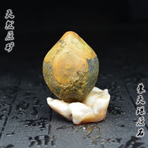  Mengtianzhu Natural Tianzhu Rough stone Old Lezi nine-eyed stone Shale Agate Tianye Tibetan genuine pendant