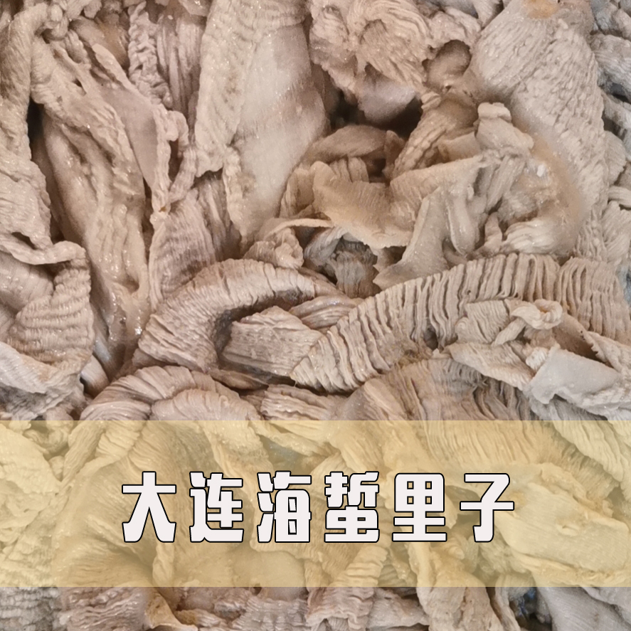 Dalian wild jellyfish lining jellyfish coat jellyfish paint jellyfish skin jellyfish head now caught and found 500g