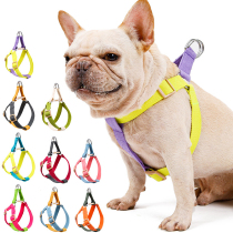 INS Pet Teddy Gold Hairy Dog Tide Card Traction Rope Chest Harness Colorful Vest Style Walking Dog Rope Dog Chain