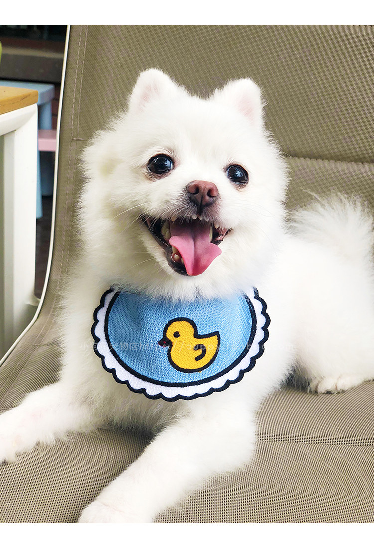 ins net red puck pet spat towels chai dog scarf kitty dog scarf catwalk accessories teddy supplies