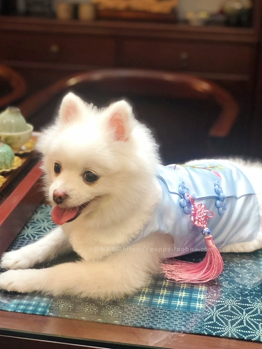 Ханьфу, осеннее утепленное ципао, китайский стиль