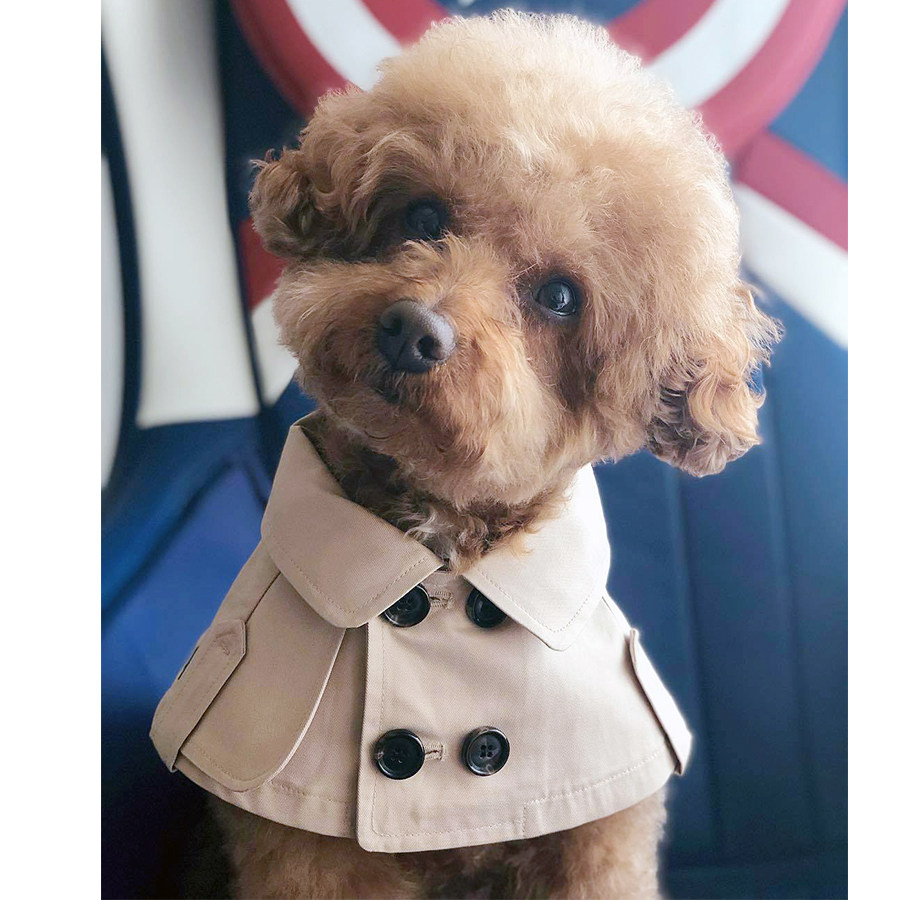 Pet British shawl saliva towel small dog teddy cat Pomeranian corgi schnauzer cloak dog clothes