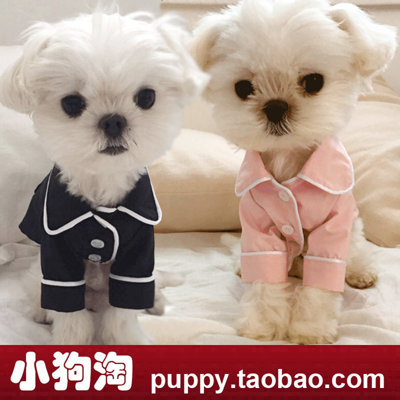 Pet Clothing Cat Dog Teddy Bou Beauty Fou biker than bear Spring Summer Chatide Thin Pyjamas small canine home clothes