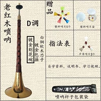 D рисуют золотую резной цветочной миски [6 основных подарков]