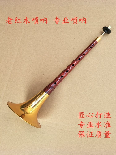 Профессиональные высококлассные музыкальные инструменты для взрослых, медный мегафон, полный комплект