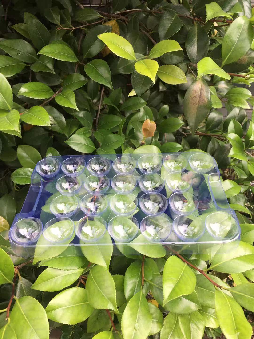 Boutique double bayberry basket 84 pieces boutique bayberry frame Blue bayberry basket single layer can be loaded with 2 pounds of 2 layers a group