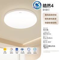 18【Smart Light*Full Spectrum】Автономный голосовой-молочный белый