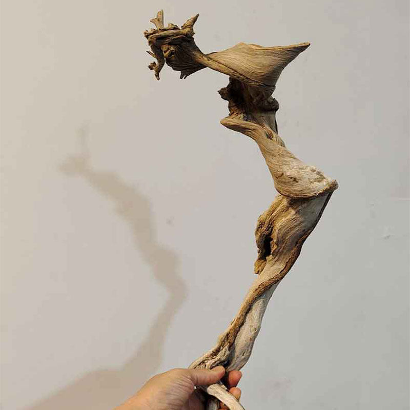 Taihang cliff Bai live selection of goods do not take private shots, do not take private shots, do not take private shots